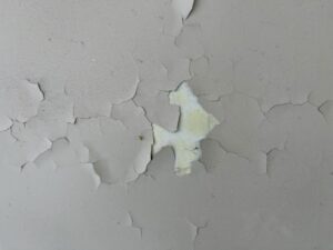 塗膜が剥がれたコンクリート壁