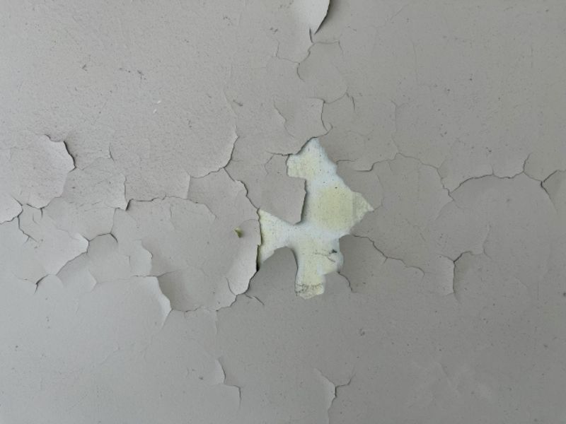 【外壁塗装】塗膜の剥がれが起きる原因とは？お家を長持ちさせるための対策